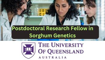 Postdoctoral Research Fellow in Sorghum Genetics